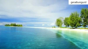Wisata Maluku Yang Paling